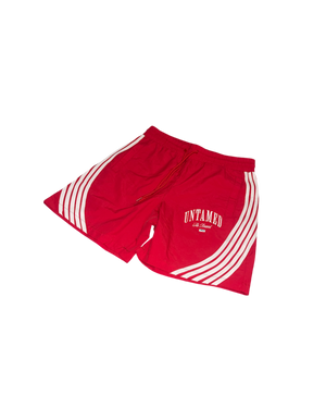 Untamed Nylon Shorts